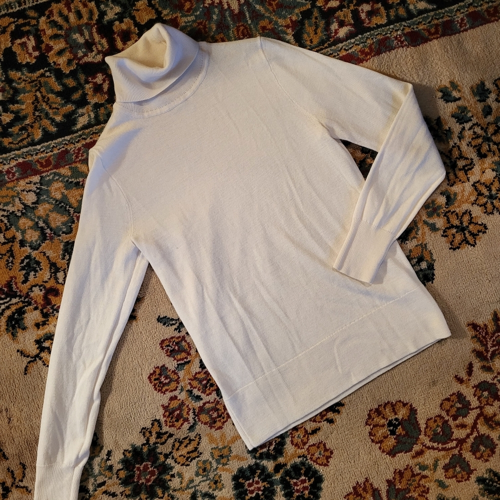 JCrew Wool Blend Turtle Neck
